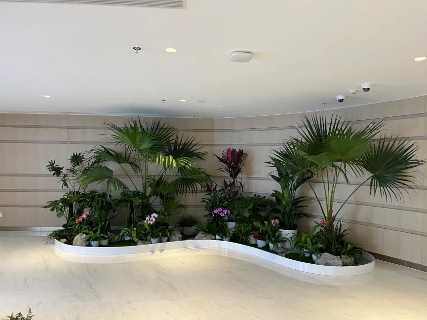 解锁慈溪盆景租赁方案，装点你的世界！